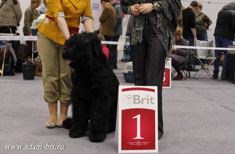 Adam Racy Style MATVEY