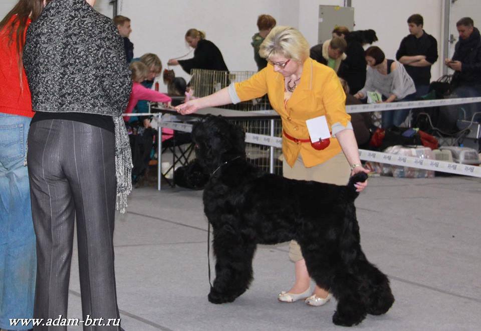 Adam Racy Style MATVEY