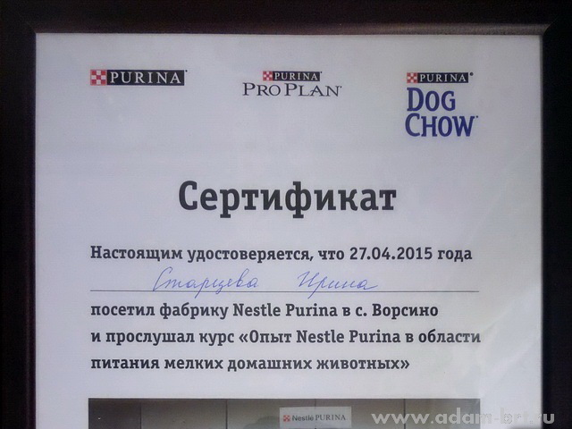 NESTLE PURINA and Kennel ADAM RACY STYLE