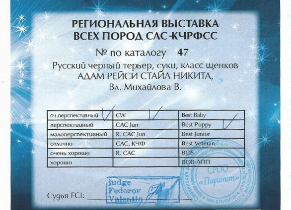 Adam Racy Style NIKITA