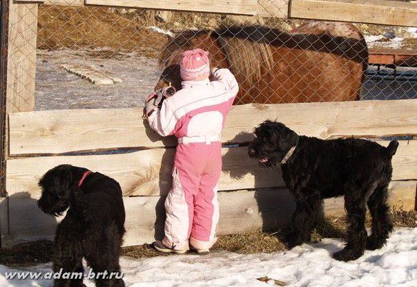 Adam Racy Style NIKOL and NIKITA