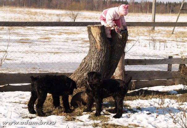 Adam Racy Style NIKOL and NIKITA