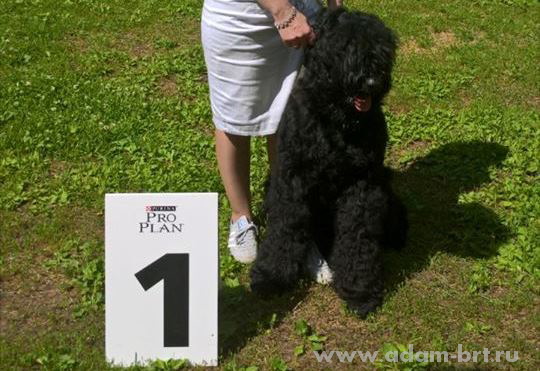 Adam Racy Style ONRY NAIZ