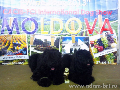 Adam Racy Style APOLLON and ALEXANDRA