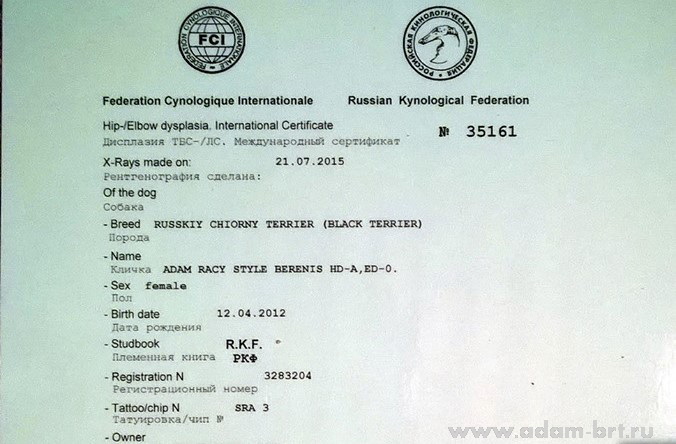 Adam Racy Style BERENIS