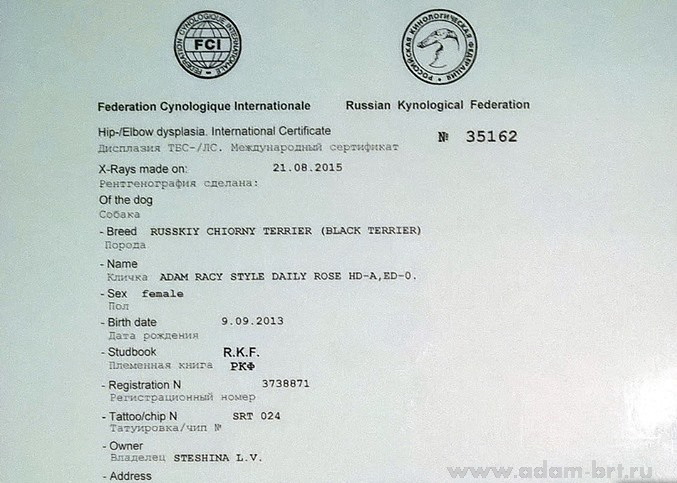 Adam Racy Style DEYLI-ROUZ