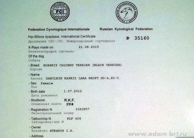  Danilkin Kapriz LARA KROFT