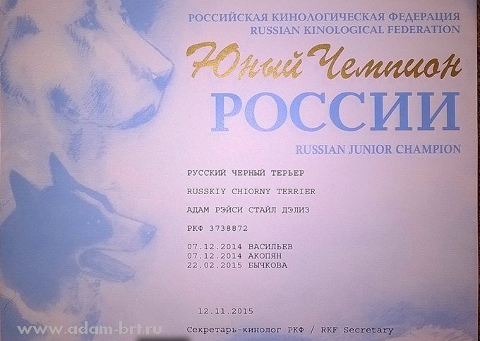 Adam Racy Style DELICE