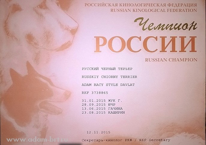 Adam Racy Style DAVLAT