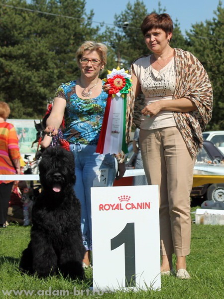 Adam Racy Style RICHARD