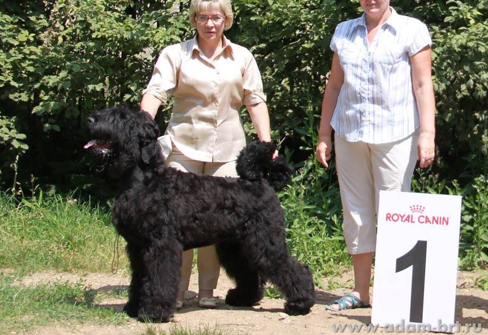 Adam Racy Style ROSSIYA VELIKAYA