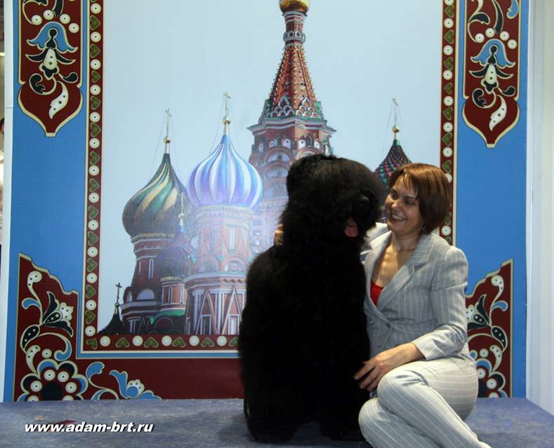 Adam Racy Style DAVID