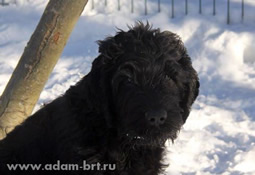 Adam Racy Style RYCAR SVETA