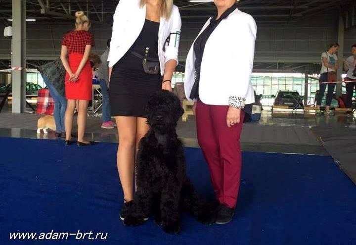 Adam Racy Style SENSATSIYA