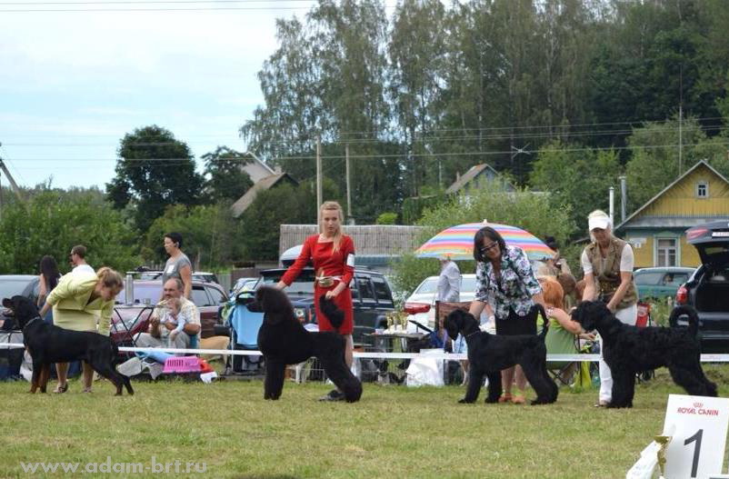 Adam Racy Style SOLARIS