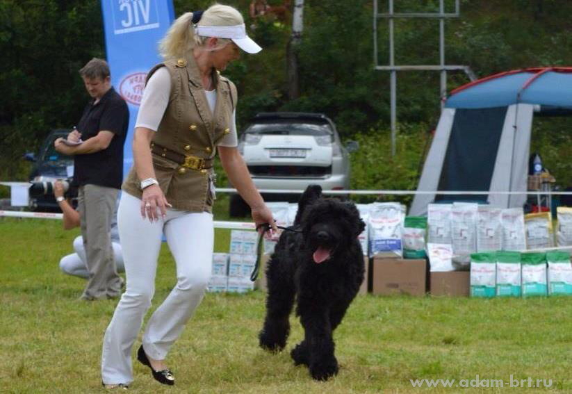 Adam Racy Style SOLARIS