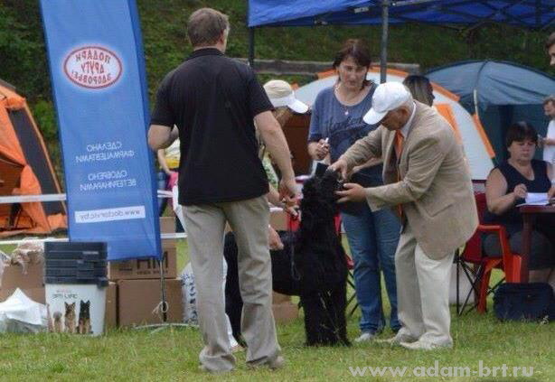 Adam Racy Style SOLARIS