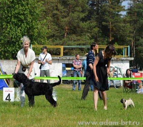 Adam Racy Style SOLARIS