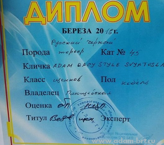 Adam Racy Style SVYATOSLAV