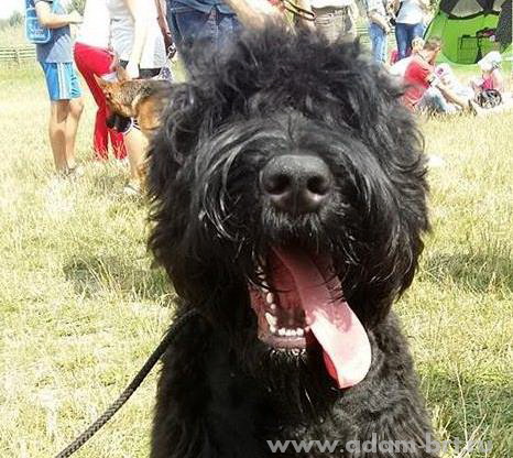 Adam Racy Style SVYATOSLAV