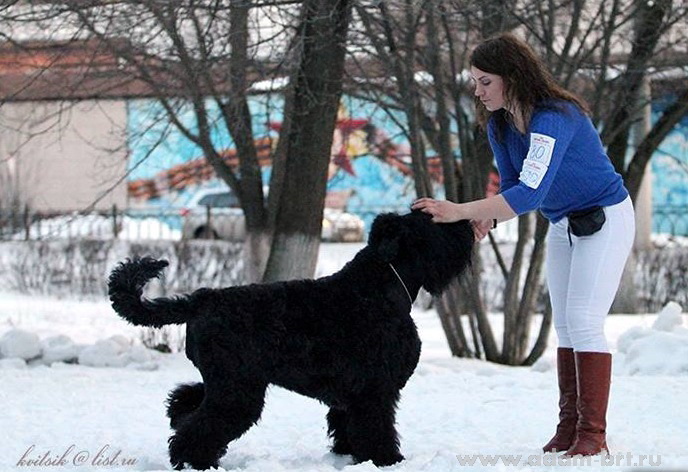 Taynoe Zhelanie DOCH ADAMA