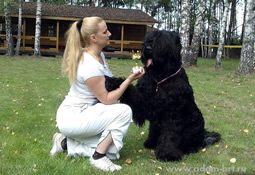 Adam Racy Style VASHINGTON