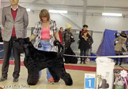 Adam Racy Style VENERA