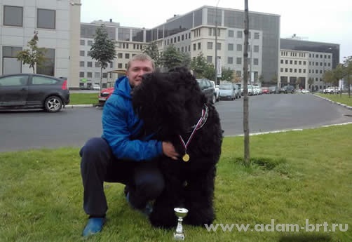 Адам Рэйси Стайл ЕВКЛИД