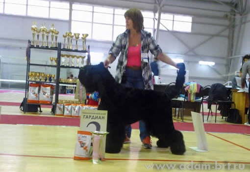 Адам Рэйси Стайл ВЕНЕРА