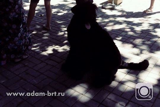 Adam Racy Style ZEUS