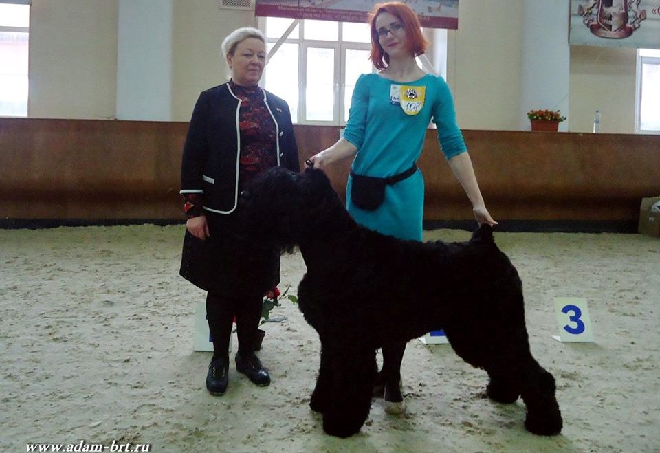 Adam Racy Style ZIGER BLACK