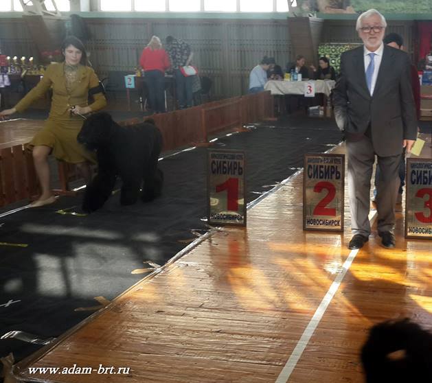 Adam Racy Style ZLATOSLAV