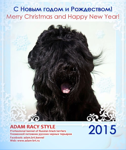 Merry Christmas and Happy New Year!