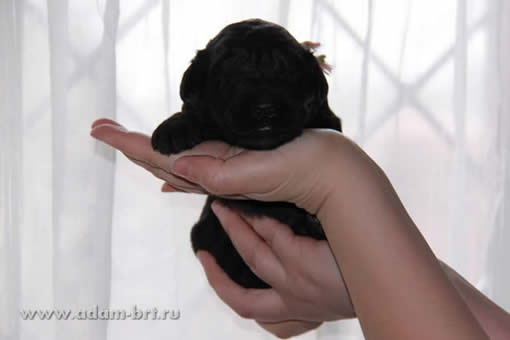 That's the view of you were not so long ago …