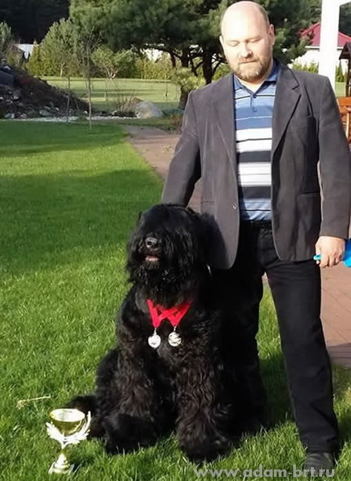 Адам Рэйси Стайл БОСС