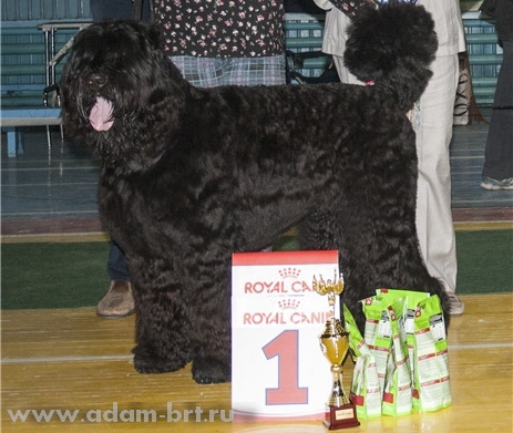 Adam Racy Style EGOR