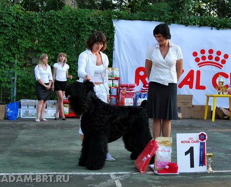 BORESLAVA LUBOV ADAMA INTERNATIONAL CHAMPION