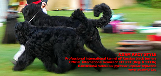 ADAM RAСY STYLE INTERNATIONAL PROFFESIONAL KENNEL OF BLACK RUSSIAN TERRIERS