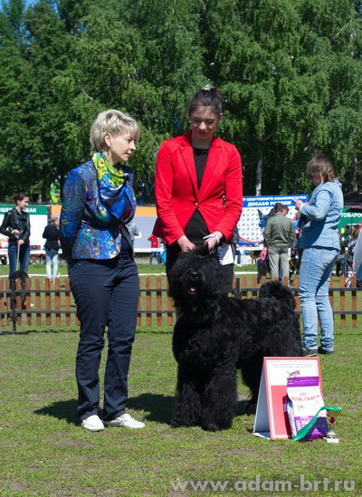 Адам Рэйси Стайл БЕРЕНИС