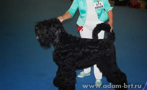 МОСКВОРЕЧЬЕ ЛУЧЕЗАР