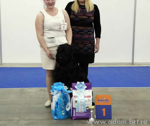 Адам Рэйси Стайл ДАЛЛАС