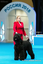 Adam Racy Style   () -   ,      -   !