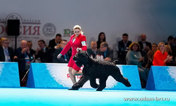 Adam Racy Style   () -   ,      -   !