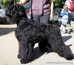 Barby s Bronich ZIMUSHKA ZIMA