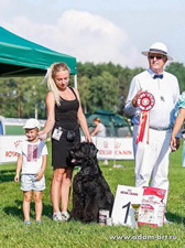 Adam Racy Style ALEKSANDER - BEST BABY OF SPECIALTY, REPUBLICAN, NATIONAL EXHIBITIONS! THE BABY BEST IN SHOW!