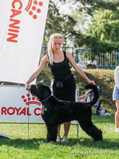 Adam Racy Style ALEKSANDER - BEST BABY OF SPECIALTY, REPUBLICAN, NATIONAL EXHIBITIONS! THE BABY BEST IN SHOW!