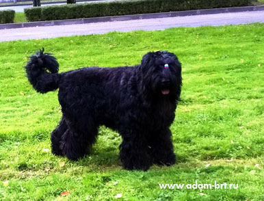 Adam Racy Style ALEKSANDRA!!!!