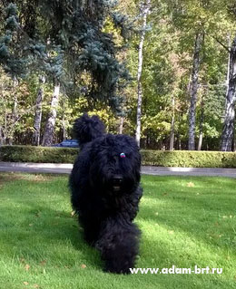 Adam Racy Style ALEKSANDRA!!!