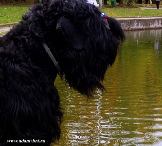 Adam Racy Style ALEKSANDRA!!!!