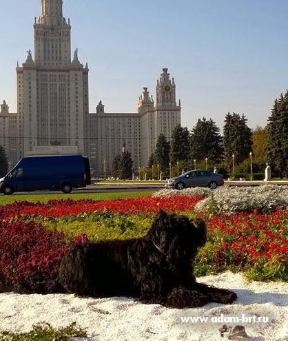 Adam Racy Style ALEKSANDRA!!!